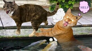 Funniest Animal Videos Of 2023🐱‍🏍 - Best Compilation Videos Of Funny Animals😁😁😂