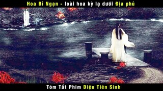 Review Phim Hoạt Hình DIỆU TIÊN SINH | Animation