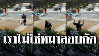 เราไม่ใช่หมาลอบกัดนะ เดี๋ยวเราจะให้โอกาสนายตั้งตัวก่อนแล้วค่อยลงมือ @Awesome Videos