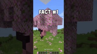 99.999% dont know this about the new cherry blossom…