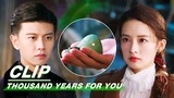 Deng Deng Rejects Lu Yan's Concern | Thousand Years For You EP10 | 请君 | iQIYI