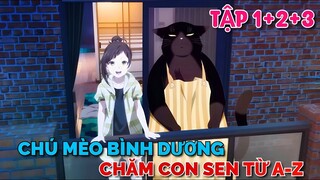 Tóm Tắt Anime | Chú Mèo Bình Dương Chăm Con Sen Từ A- Z | Tập 1 + 2 + 3 | Tiên Misaki Review