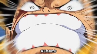 luffy😥😥