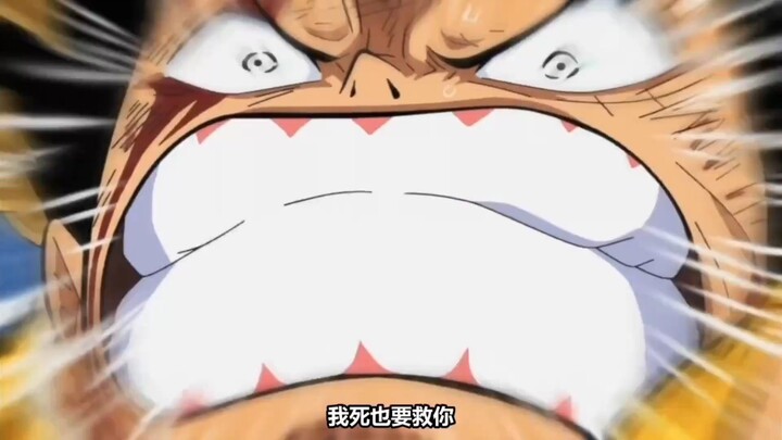 luffy😥😥