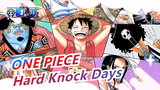 ONE PIECE|Epicness Ahead! A song "Hard Knock Days" to get you high!