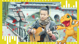 【Live】Digimon Adventure OP｜Busker in Chengdu!!