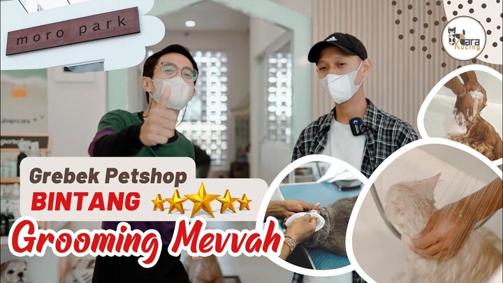 KITA BISA LIHAT LANGSUNG PROSES GROOMINGNYA DI PETSHOP INI [ MORO PARK LAMPUNG ]