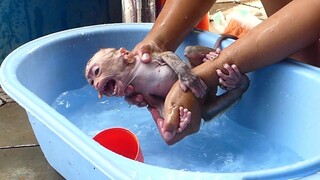 OMG! Little boy Maki Extremely crying unhappy to get wet during clean him body