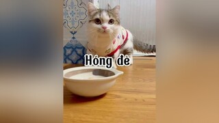 Sáng k thèm bế Thắng 🥲🥲 tranvansang uongminhthang cat