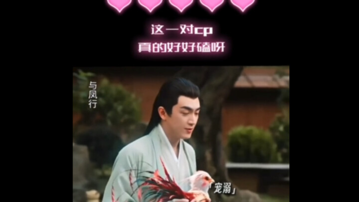 💕磕到了磕到了！这对cp太好磕了！😍