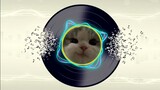 Waka Waka remix || Callista Cat