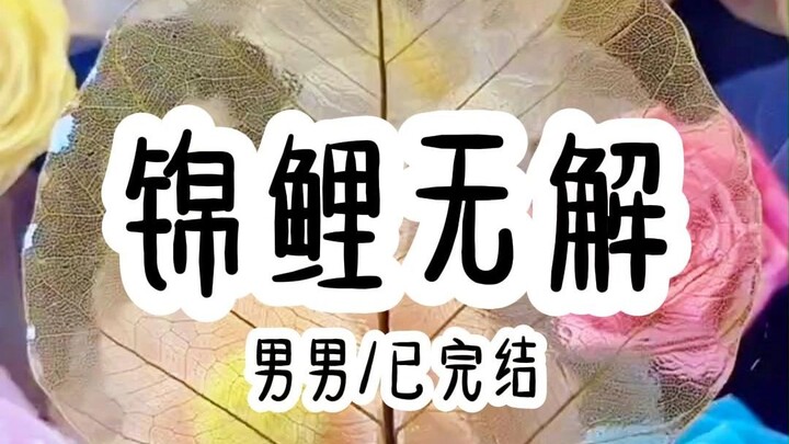 锦鲤无解