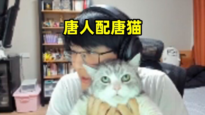 爱猫TV，瓶子:"这猫看着真唐啊，像若智一样，这可真是唐人配唐猫啊"