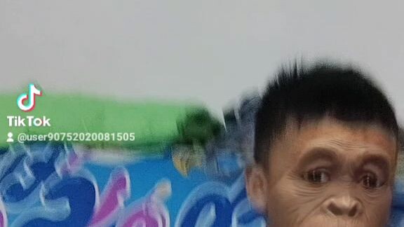 pogi
