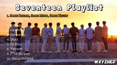 Seventeen Playlist 1