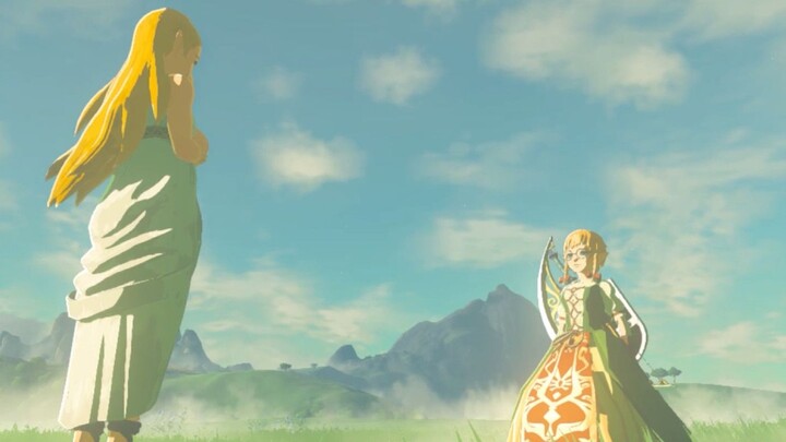 Princess Zelda, you got the wrong person