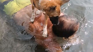 My father and his dog.