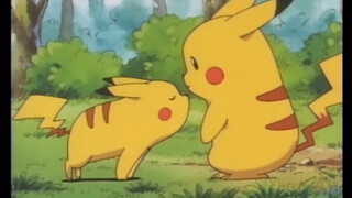 Một đàn Pikachu dễ thương quá...hồi máu cạn rồi