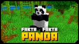 Fakta² Panda 🐼