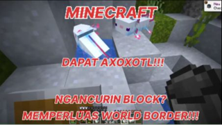 MINECRAFT - NEMUIN DUA AXOXOTL PAS LAGI NGANCURIN BLOCK!!!