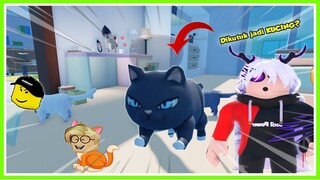 DIKUTUK JADI KUCING AKU BERHASIL MENGUASAI DUNIA!!! ROBLOX MIKOCIL