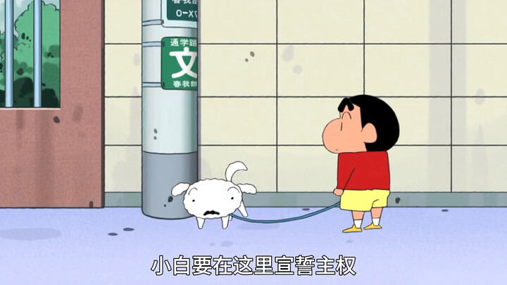 美伢教小新正确用筷子无果，小新学小白撒尿却尿手上了
