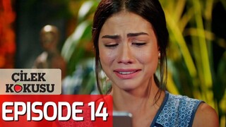 🇹🇷Cilek Kokusu Episode 14 with english subtitles🍓| Strawberry smell