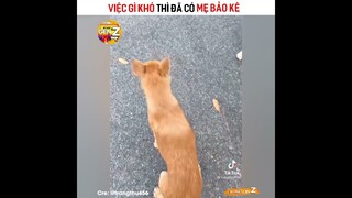 Việc Gì Khó Đã Có Mẹ Bảo Kê