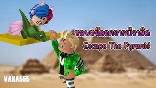 Roblox หลบหนีออกจากพีรามิด - Escape Pyramid [ @vaha555 ]