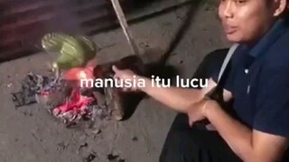 manusia itu lucu