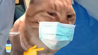 Khi bác sĩ hậu môn trực tràng quên bạn