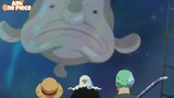 Pha chọn cá của Luffy,Zoro, Usopp và cách Sanji điểm danh thành viên trong nhóm :v