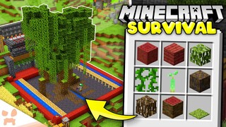 Designing A MANGROVE TREE FARM In Minecraft 1.19 Survival! (#66)