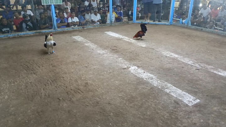 Sampaloc Cockpit Kanayawon win