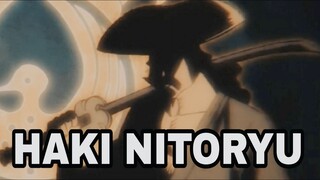 PENGUASA KETIGA JENIS HAKI NITORYU