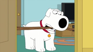 【Family Guy】Problem of the Century