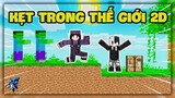 Minecraft nhưng Thế Giới Biến Thành 2D | Siro Tìm Kim Cương Cho Noob Ruby