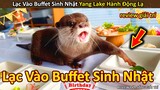 Lạc vào tiệc Buffet siêu Mlem Rái Cá Yang Lake có Hành Động Lạ || Review Giải Trí Đời Sống