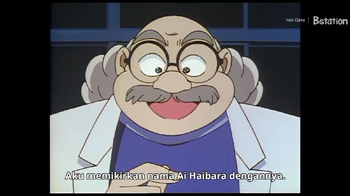 Asal usul nama Haibara Ai