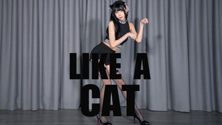 เต้นคัฟเวอร์เพลง Like A cat - AOA