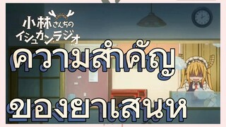 ความสำคัญ ของยาเสน่ห์