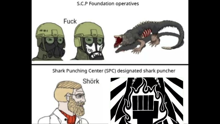 The superior Shark Punching Center