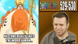 LUFFY MEETS KING NEPTUNE! - One Piece Episode 529 and 530 - Rich Reaction