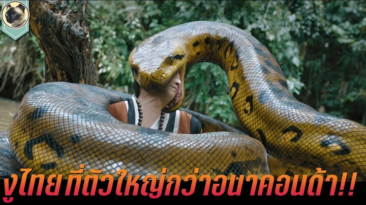 งูไทย ที่ใหญ่ยาวกว่าอนาคอนด้า สปอยหนัง Anaconda จีน 2024