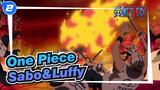 [One Piece/Sabo] Luffy Is Guarded By Me_2