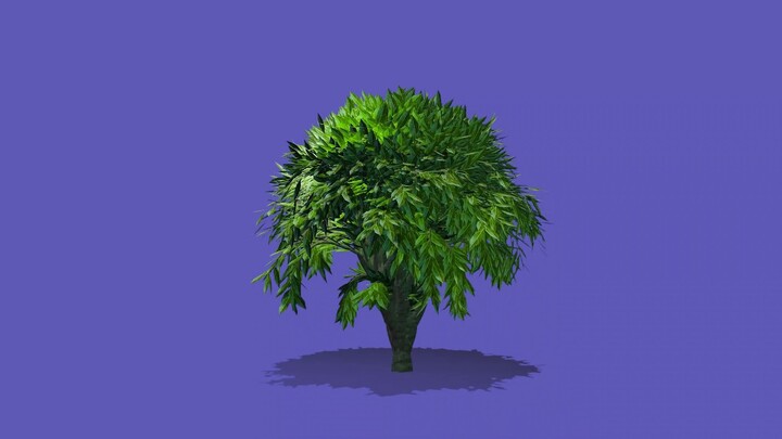 Greenscreen animated shady tree 4k