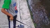 micro fishing