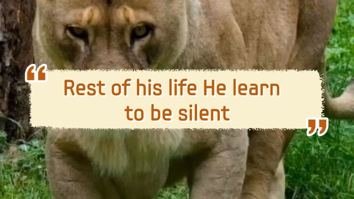 Rest of his life He learn to be silent