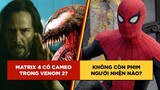 Phê Phim News: VENOM 2 phải cắt cảnh vì THE MATRIX 4 | NO WAY HOME là phần SPIDER-MAN CUỐI?