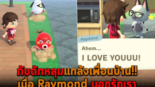 กับดักหลุมแกล้งเพื่อนบ้าน เมื่อ Raymond บอกรักเรา Animal Crossing